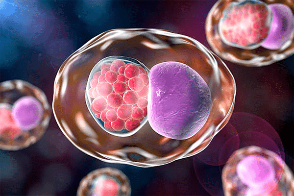Infecciones de transmisión sexual síntomas