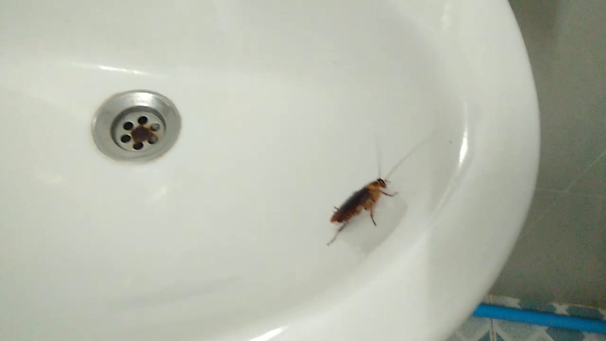 problemas relaciones lésbicas 