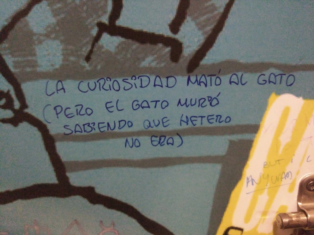 preguntas-bugas-curiosidad-probar-2