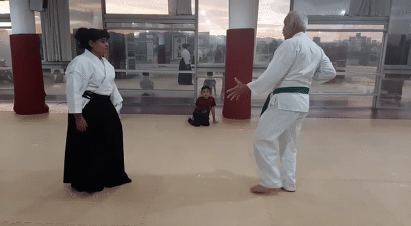 técnicas aikido defenderte homofóbicos