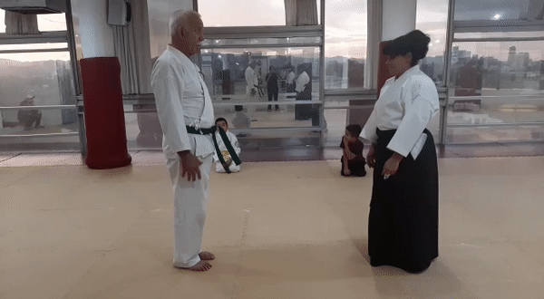 técnicas aikido defenderte homofobia 