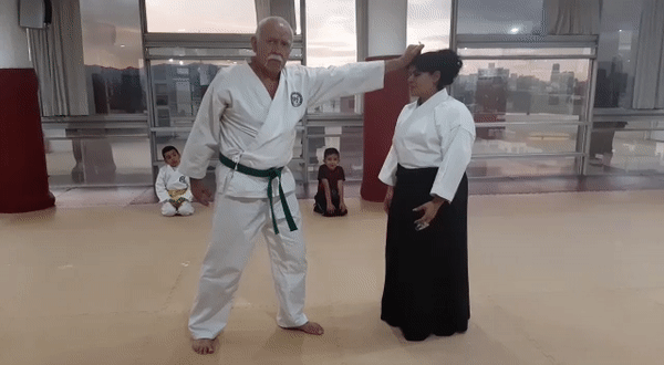 técnicas aikidio defenderte homofobia 