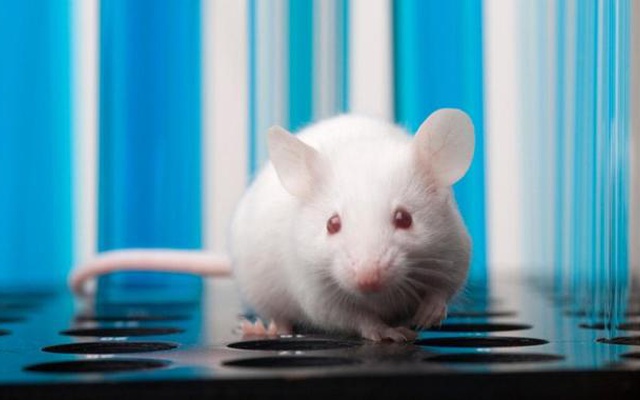 científicos método vih latencia