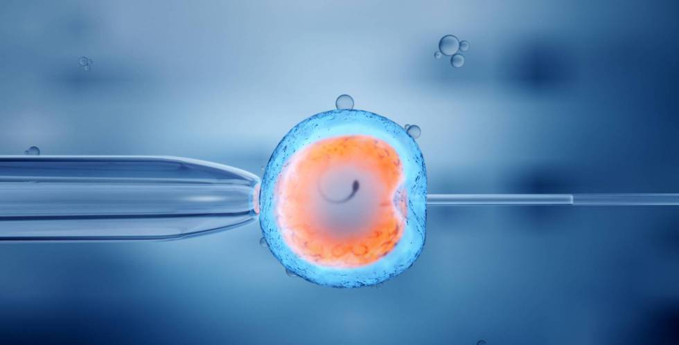 formas tener hijos lesbiana