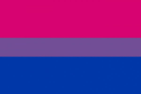 La bandera bisexual representa a la bisexualidad como la unión entre la homosexualidad y la heterosexualidad.