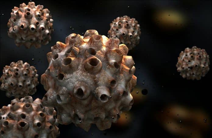 condilomas-hombres-gays