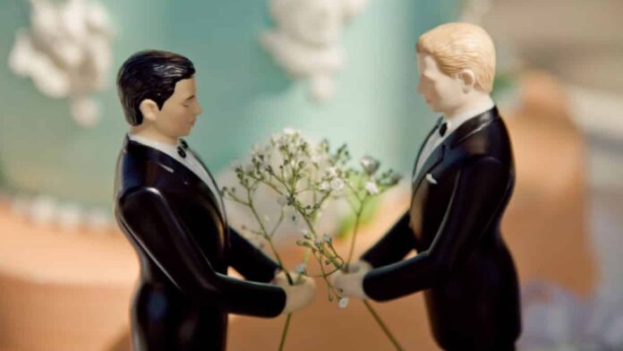 matrimonio igualitario reducir suicidio estudio