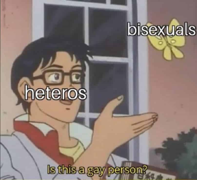 memes-bisexual-6