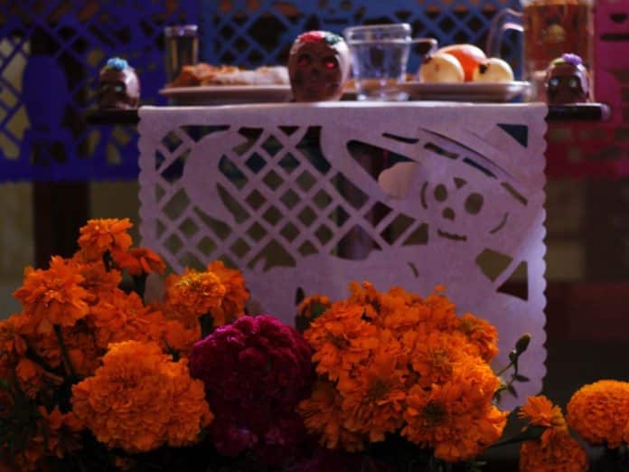 ofrenda víctimas homofobia-2