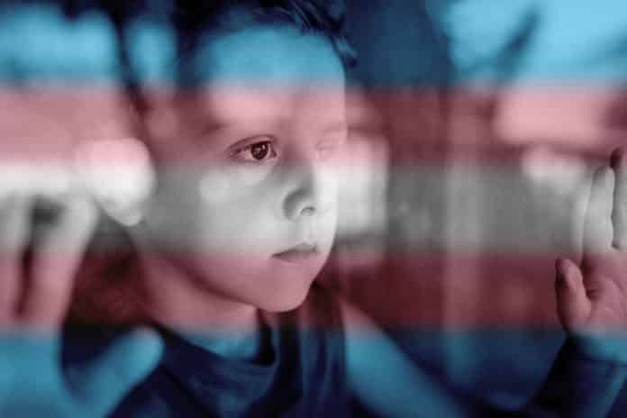 sí-a-la-ley-de-infancias-trans-3