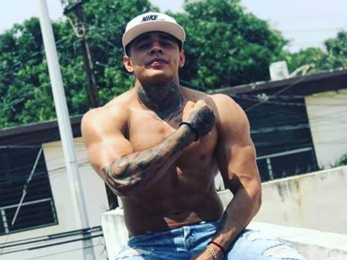 enciclopedia-tribus-gays-8