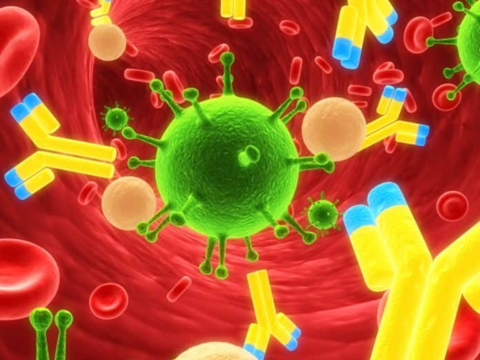 sistema inmunitario VIH 4