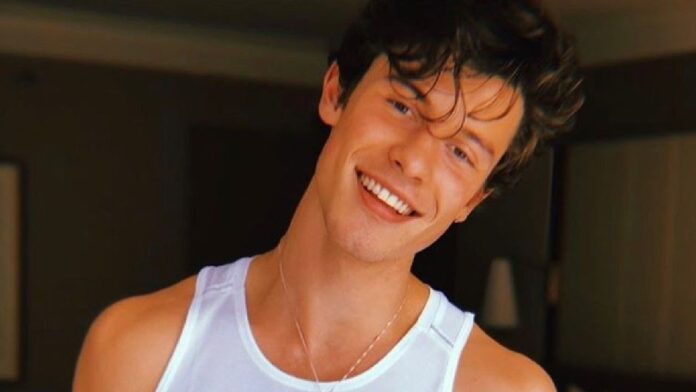 Shawn Mendes porno gay