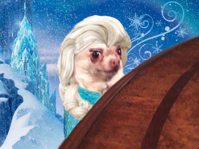 memes Elsa Frozen
