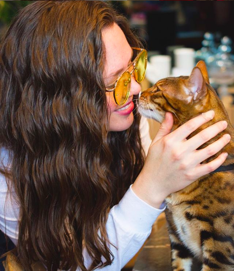 LGBT+ gatos