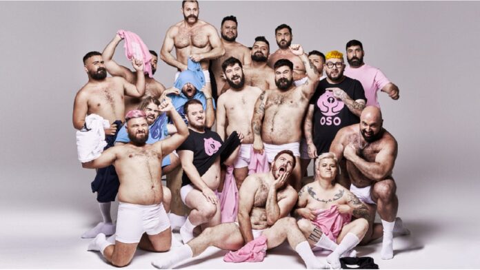 Cosas de osos gay portada