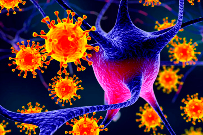 Herpes - infecciones de transmisión sexual