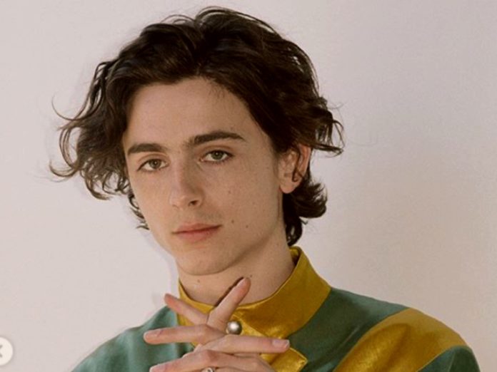 Portada Timothée Chalamet Portada Timothée Chalamet
