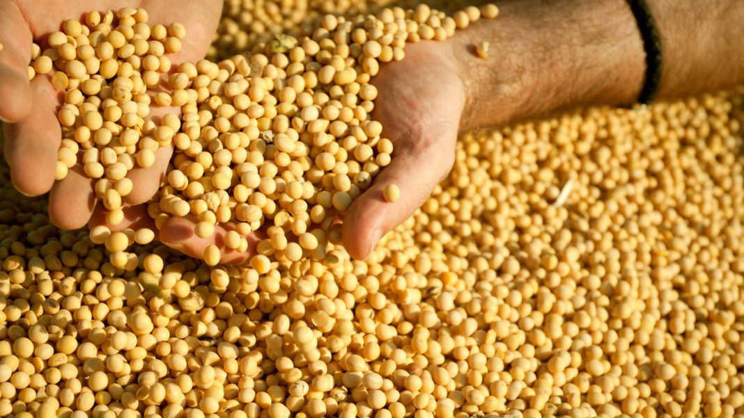 alimentos-que-te-hacen-gay-3-1068x601-1