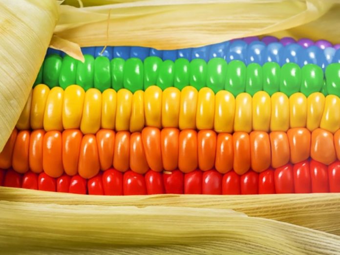 alimentos-que-te-hacen-gay-8