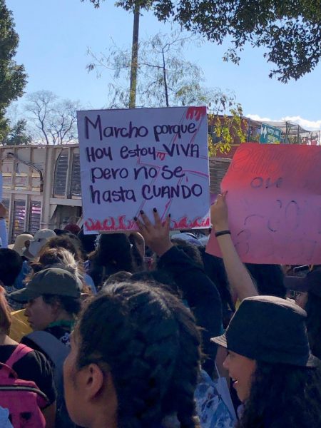 marcha 8m 2020 oaxaca oaxaca