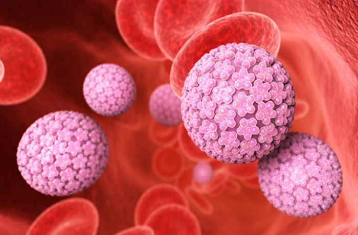 verrugas-genitales-02