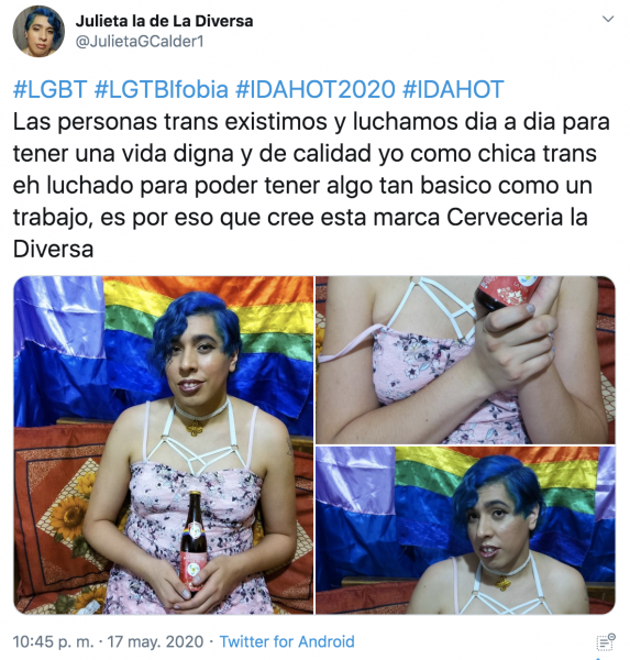 Julieta cerveza La Diversa