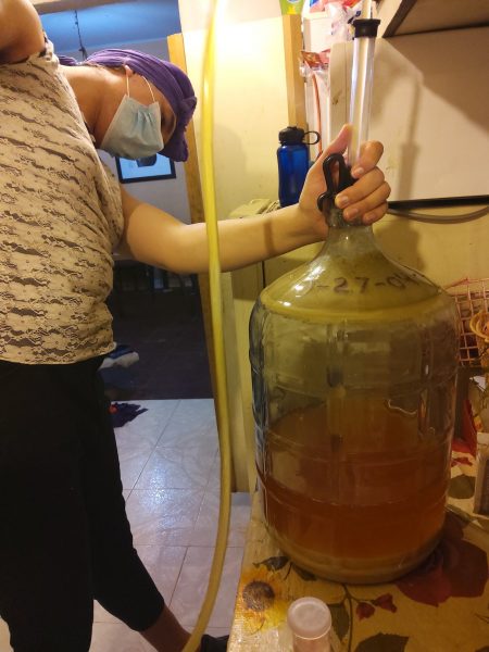 Julieta cerveza La Diversa