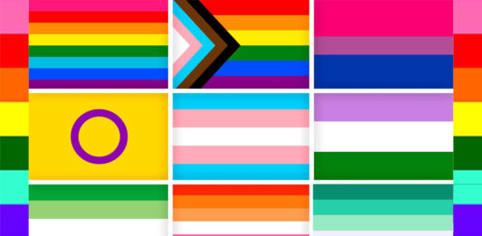 significado banderas LGBT+ 1