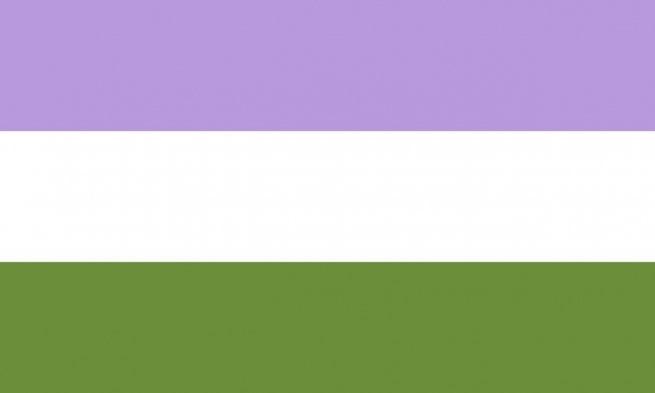 bandera genderqueer banderas lgbt+ menos conocidas