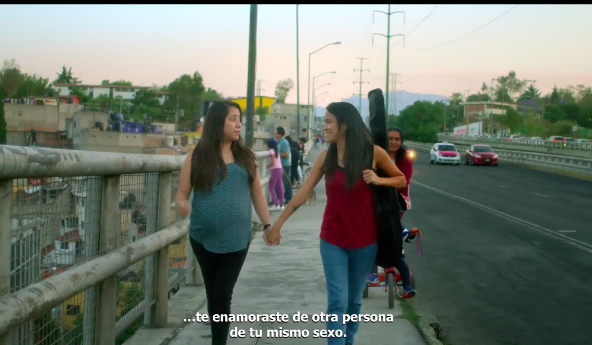 incluyen-lesbianas-y-trans-video-gobierno