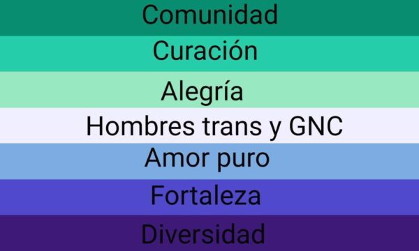 bandera hombres gays significado