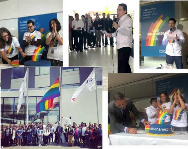 erg-CITIBANAMEX