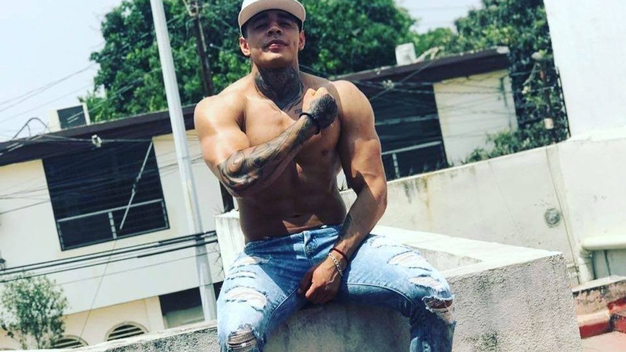 chacal mayate diferencias