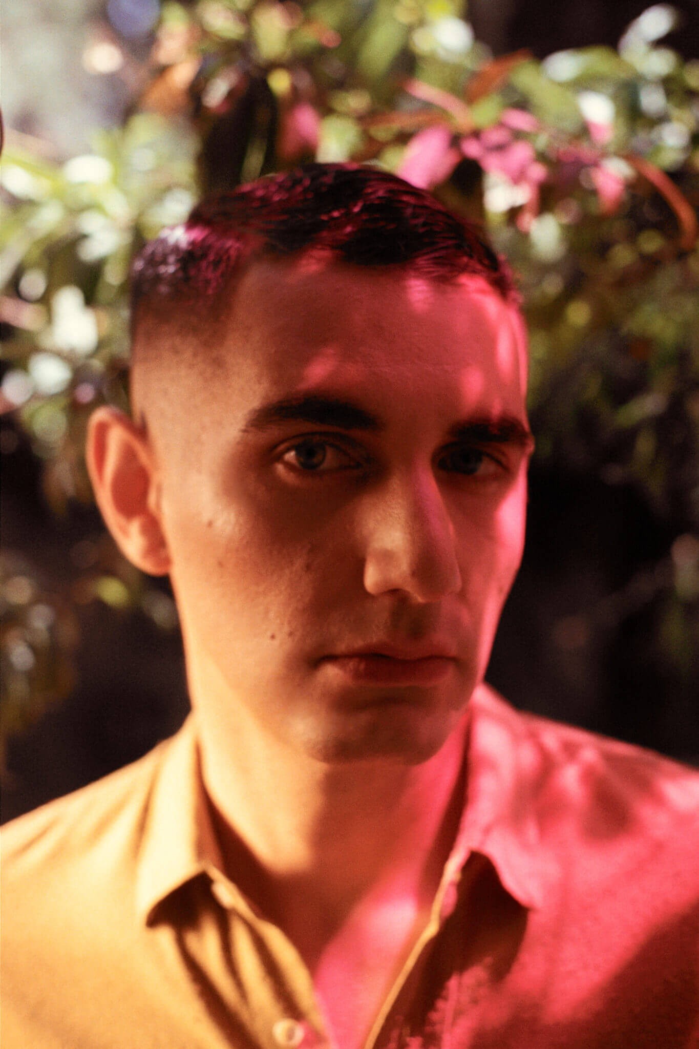 Álex Anwandter artistas origen latino genero no binario