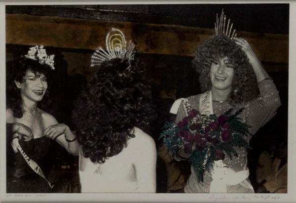 drag-queens-agustín