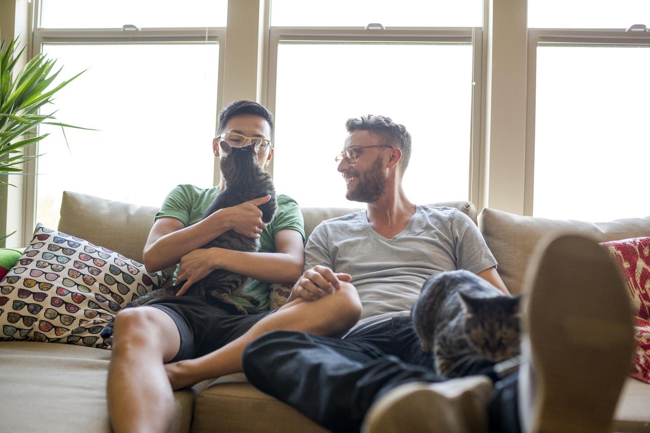 cosas-mudarte-novix cosas-mudarte-novix