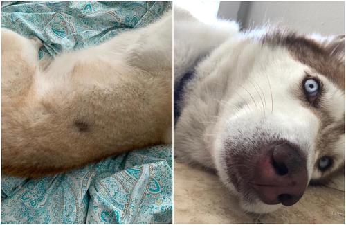 Ataque pareja gay Guatemala