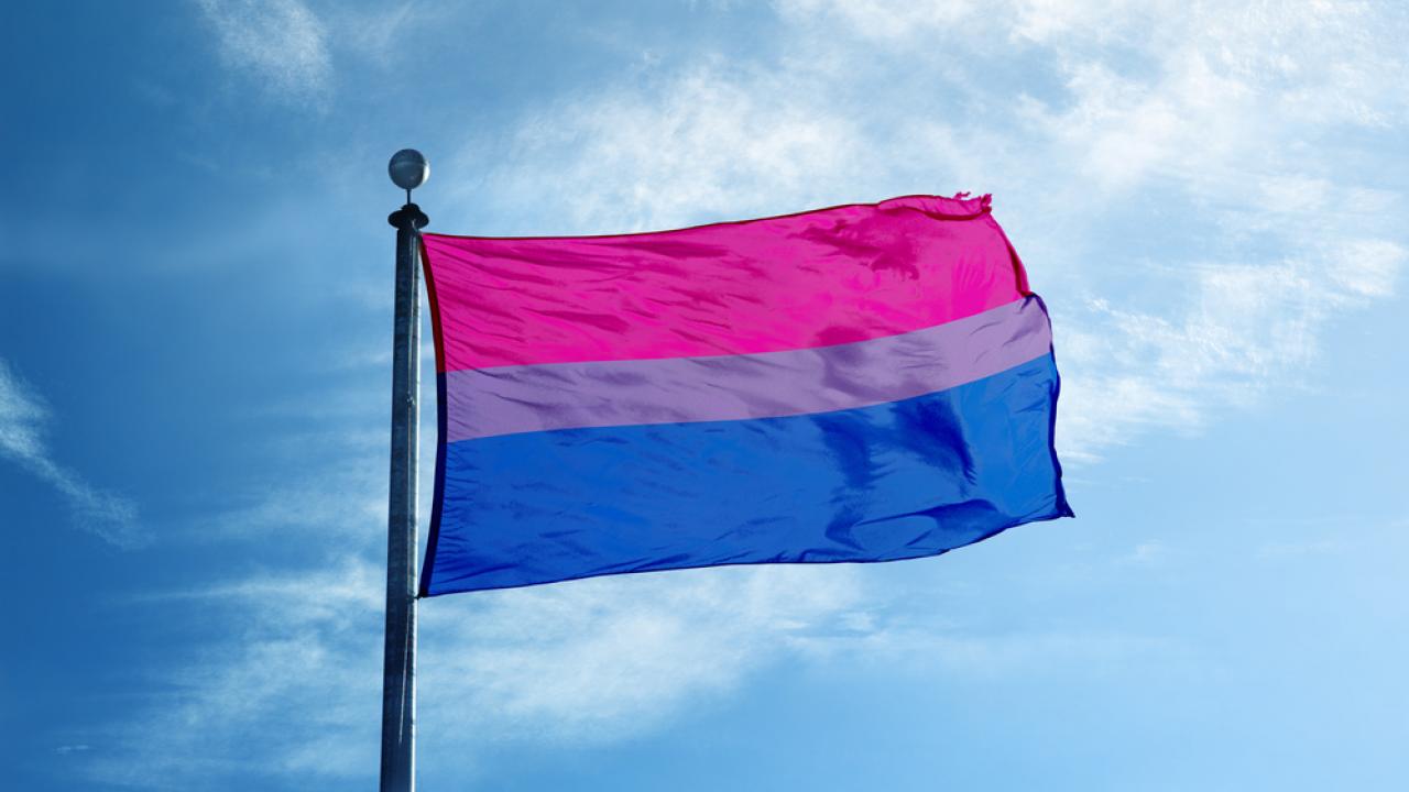 Cuál es la bandera del Orgullo bisexual? - Homosensual