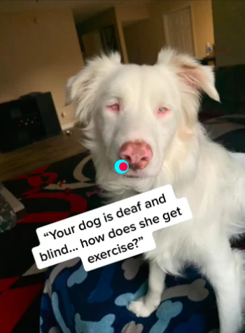 Video en TikTok sobre la rutina de Plum.