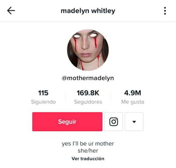 Captura de pantalla que comprueba la popularidad de las gemelas trans en TikTok