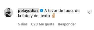 Comentario en Instagram.
