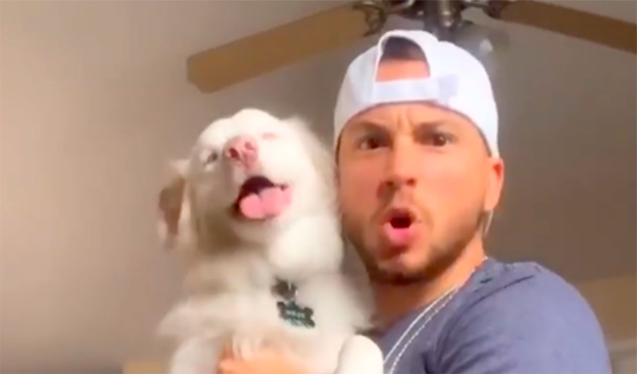 portada_perrita_chico_trans_tiktok La perrita de este chicho trans se ha vuelto viral en TikTok.