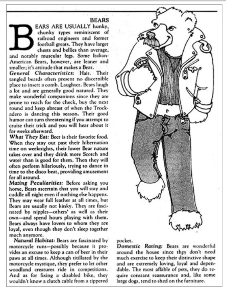 Este artículo explicaba por qué se les decía osos en la comunidad gay.