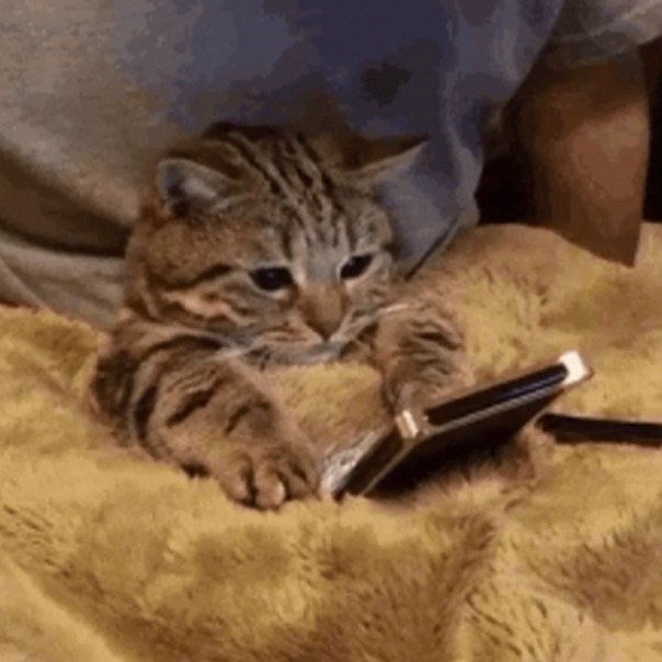 Cosas que puedes haces mientras tu novio sigue dormido