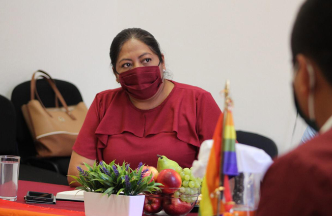 Diputada terapias conversión Michoacán Zenaida Salvador Brígido