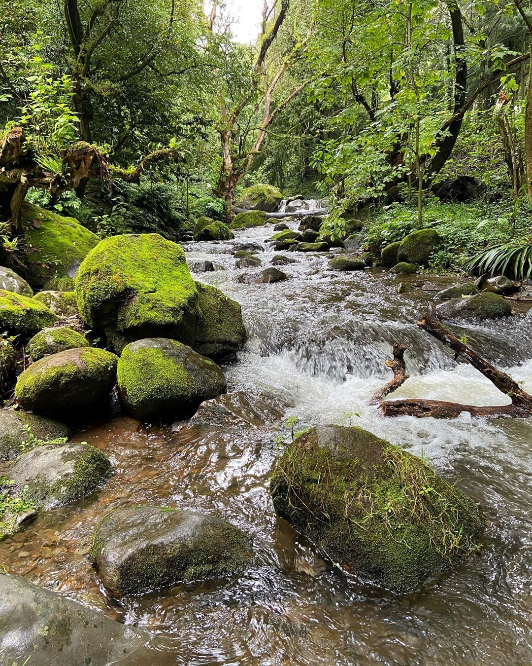 Parque nacional los dinamos CDMX