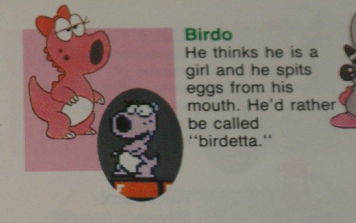 Birdo Super Mario Bros. 2