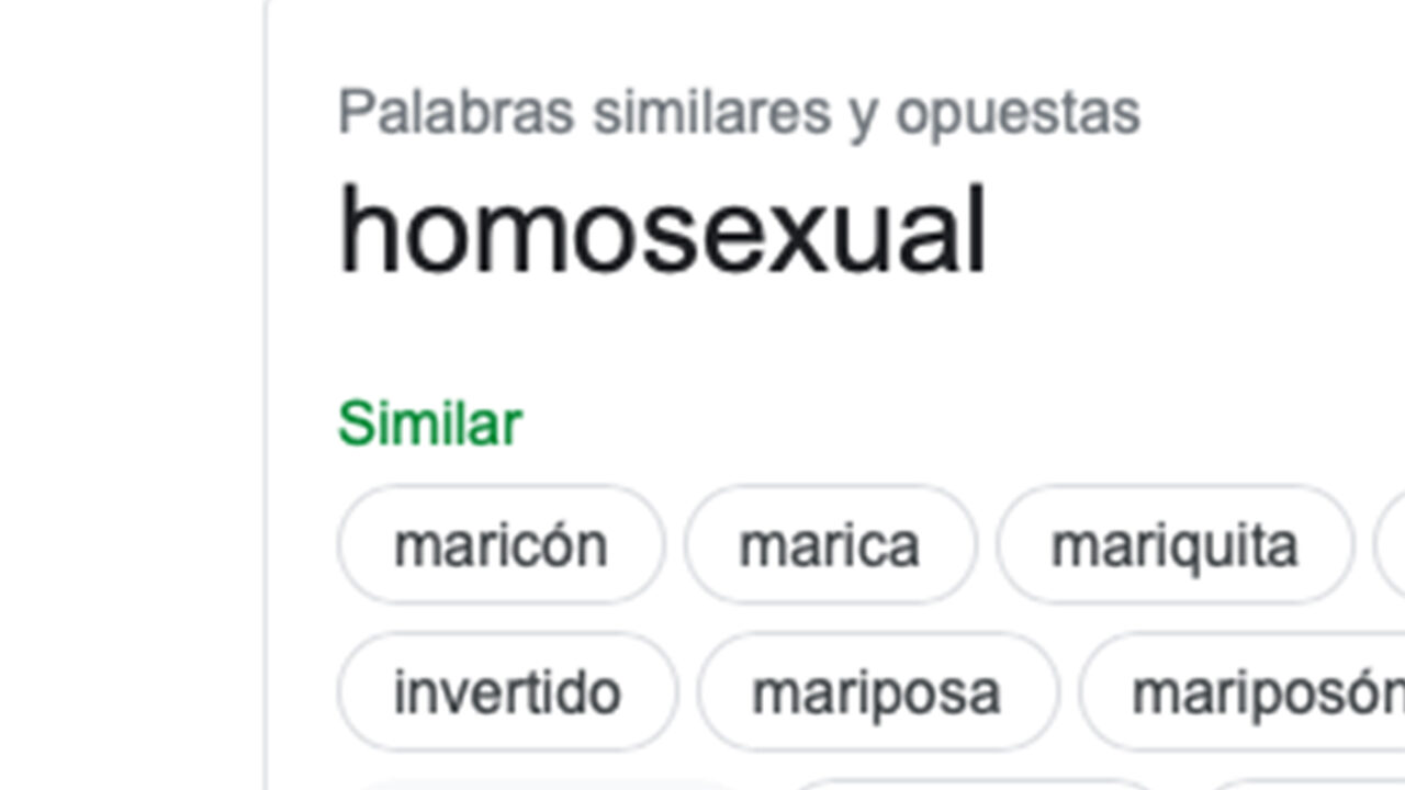 Google comparte este tipo de palabras como sinónimo de homosexual.