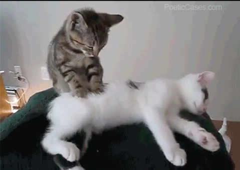 Masajear es clave para prevenir las estrías.